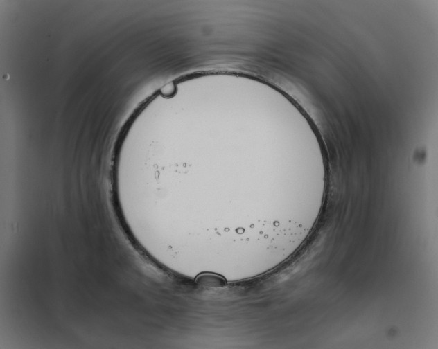 X0000102031093200808081806