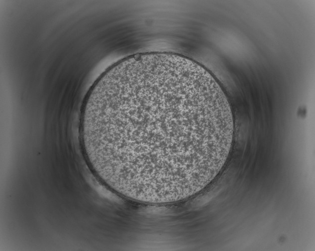 X0000102031094200808081806