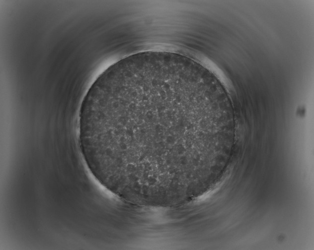 X0000102031095200808081806