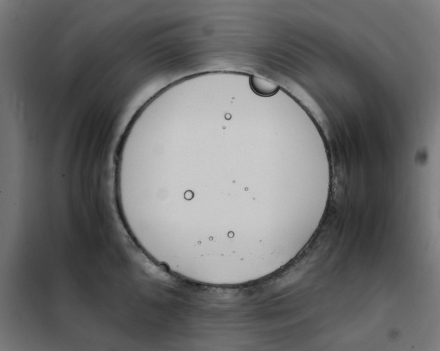 X0000102031096200808081806