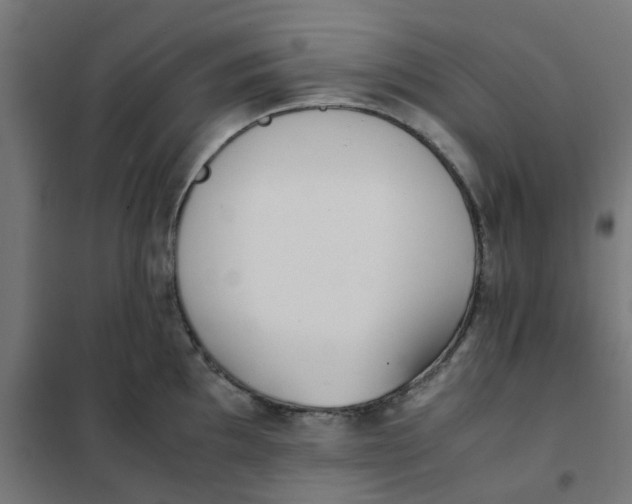 X0000102031097200808081806