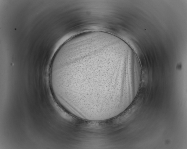 X0000102031098200808081806