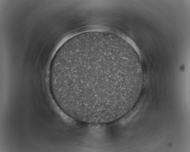 X0000102031099200808081806