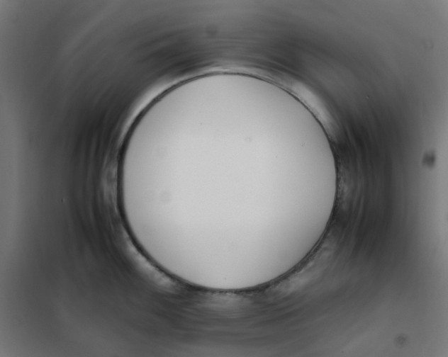 X0000102031100200808081806