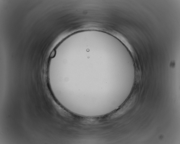 X0000102031101200808081806