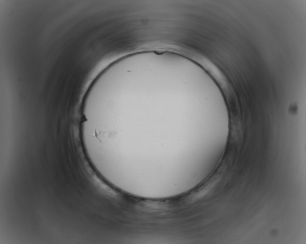 X0000102031102200808081806