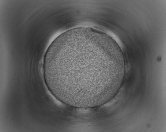 X0000102031103200808081806