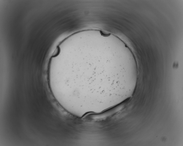 X0000102031104200808081806