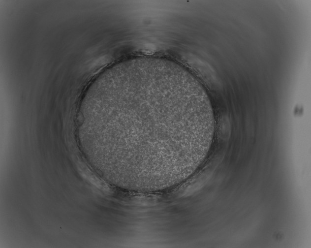 X0000102031105200808081805