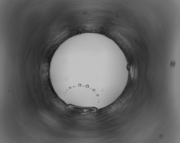 X0000102031107200808081805