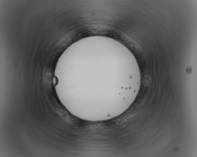 X0000102031108200808081805