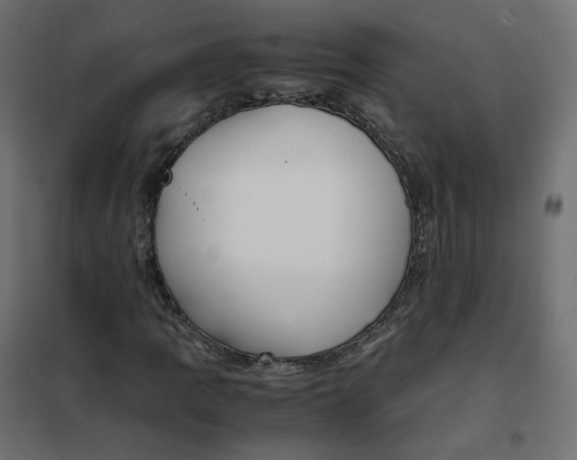 X0000102031109200808081805