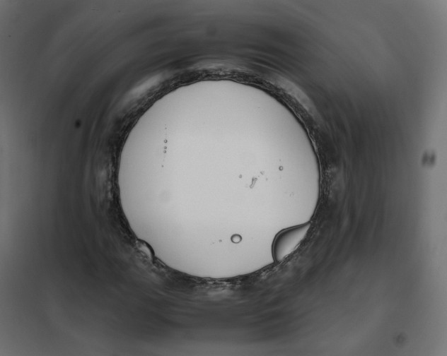 X0000102031111200808081805