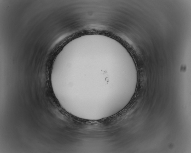 X0000102031112200808081805