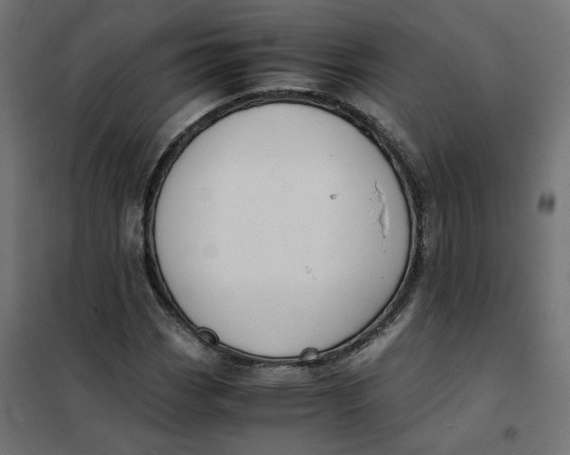 X0000102031113200808081805