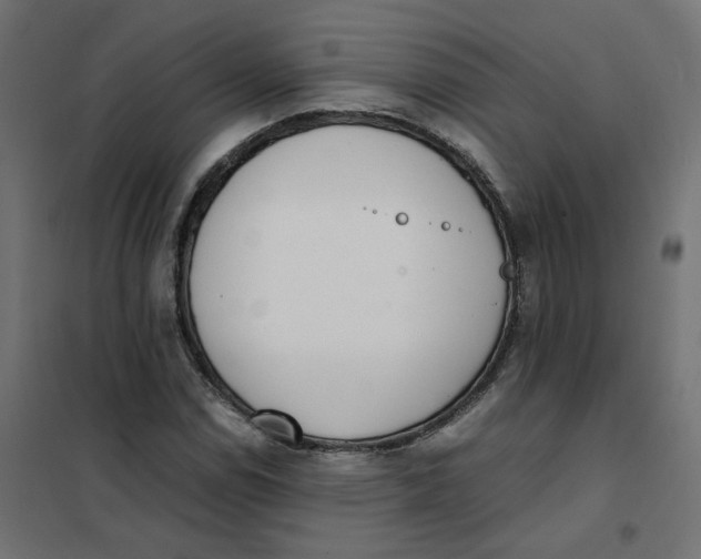 X0000102031114200808081805