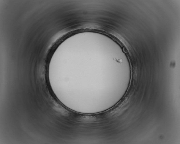 X0000102031115200808081805