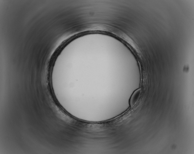 X0000102031116200808081805