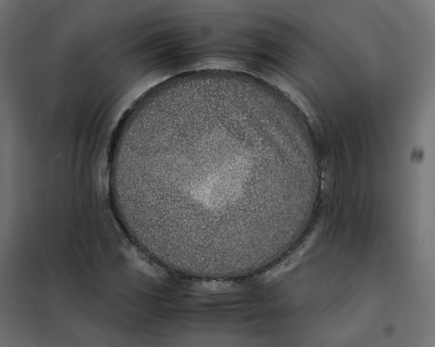 X0000102031117200808081805