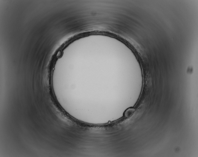 X0000102031118200808081805