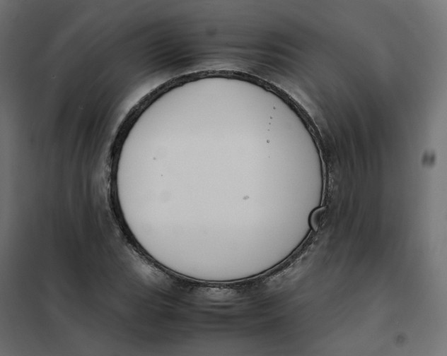 X0000102031119200808081805