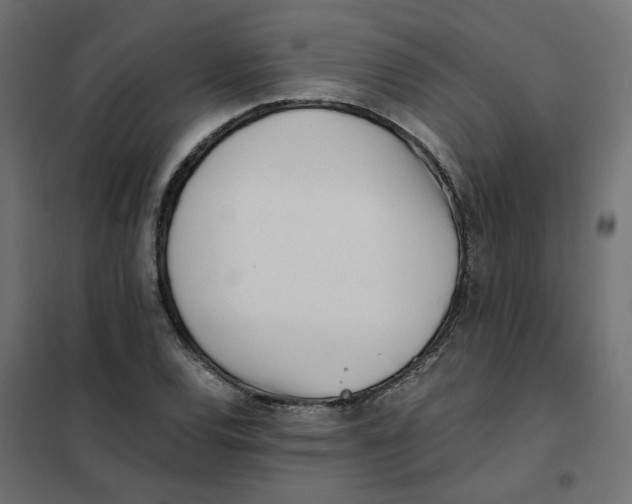 X0000102031120200808081805