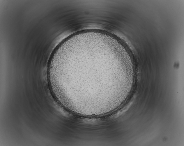 X0000102031121200808081805