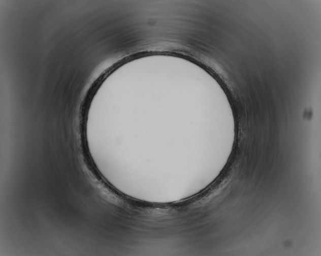 X0000102031122200808081805