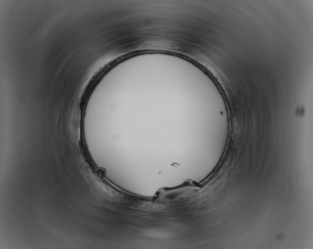 X0000102031123200808081805