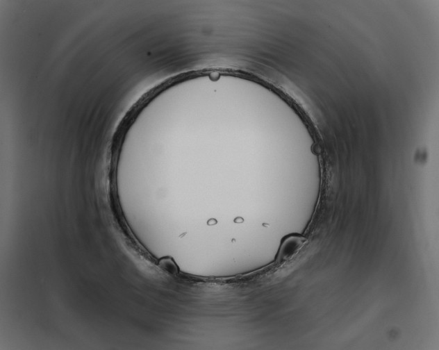 X0000102031124200808081805