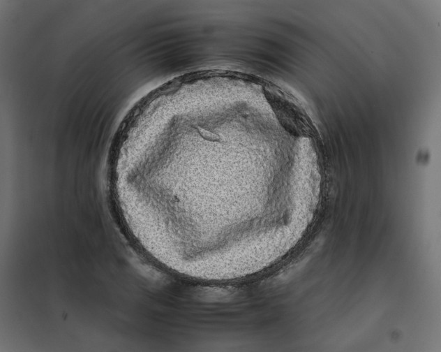 X0000102031125200808081806