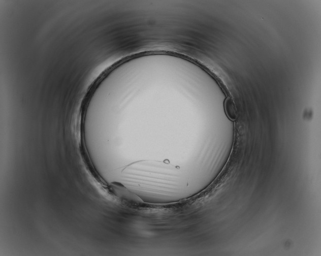 X0000102031127200808081806