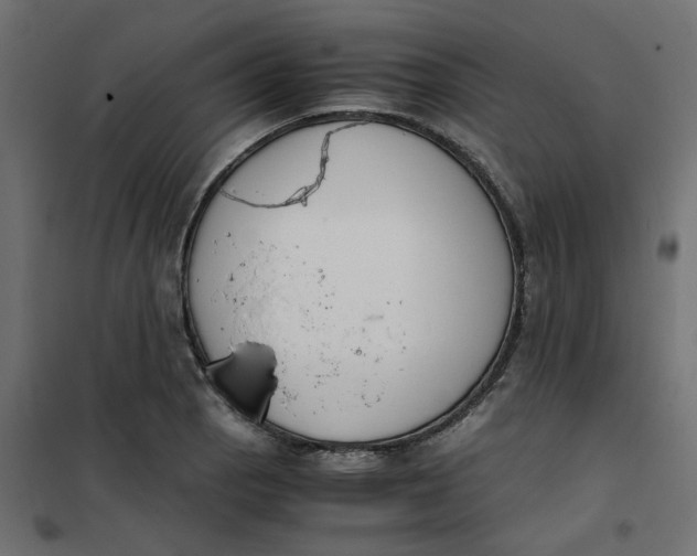 X0000102031129200808081806