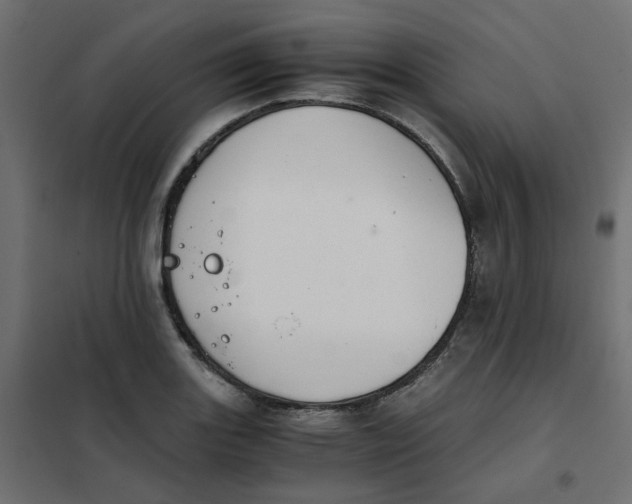 X0000102031131200808081806