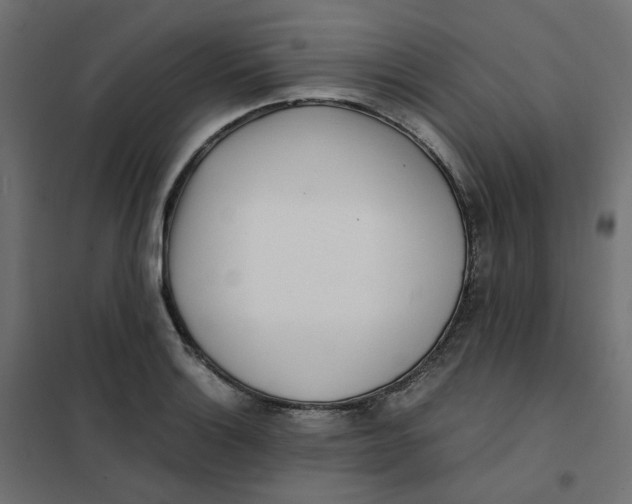 X0000102031132200808081806