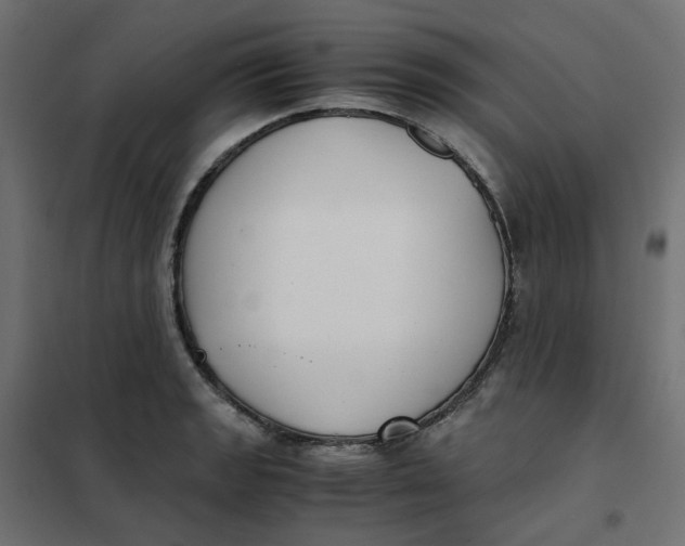 X0000102031133200808081806