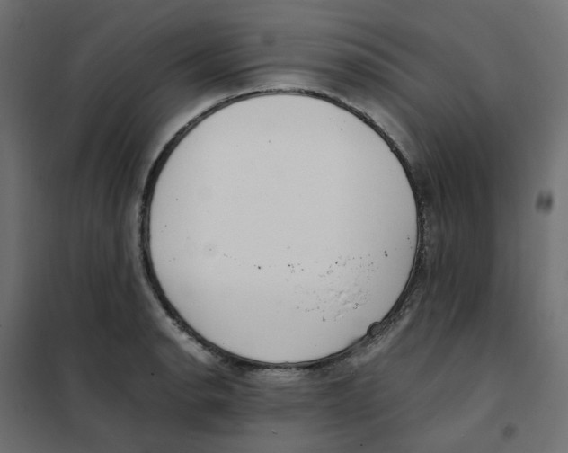 X0000102031134200808081806