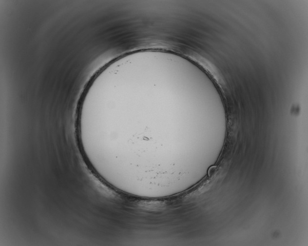 X0000102031135200808081806