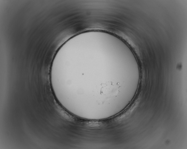 X0000102031137200808081806