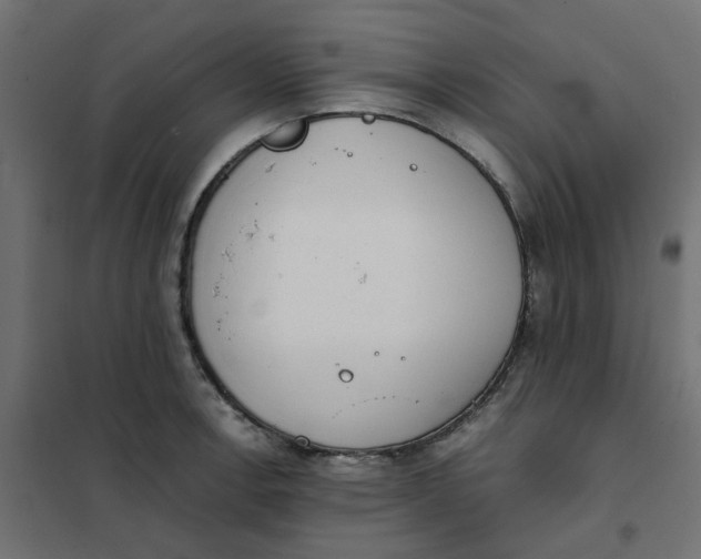 X0000102031138200808081806