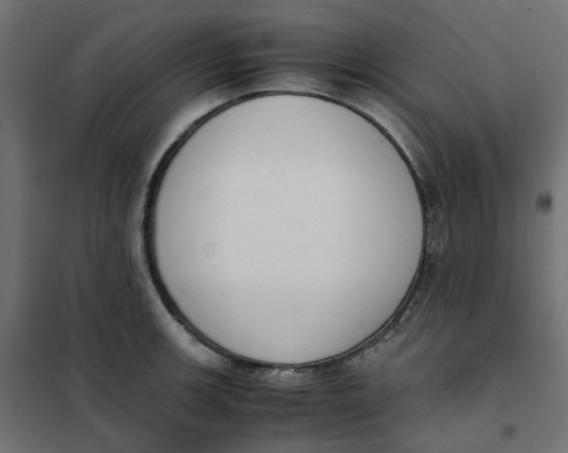 X0000102031139200808081806