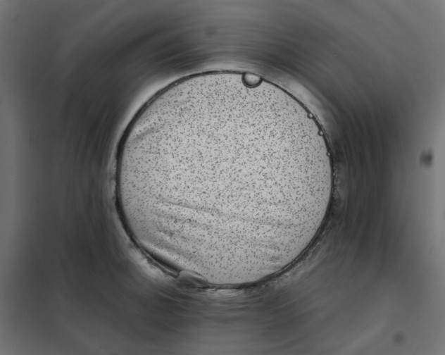 X0000102031140200808081806