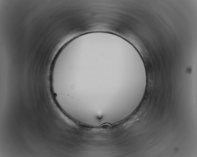 X0000102031142200808081806