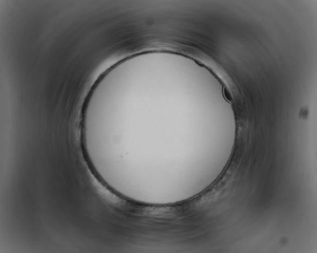 X0000102031143200808081806