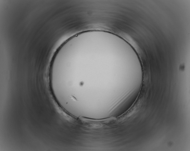 X0000102031144200808081806