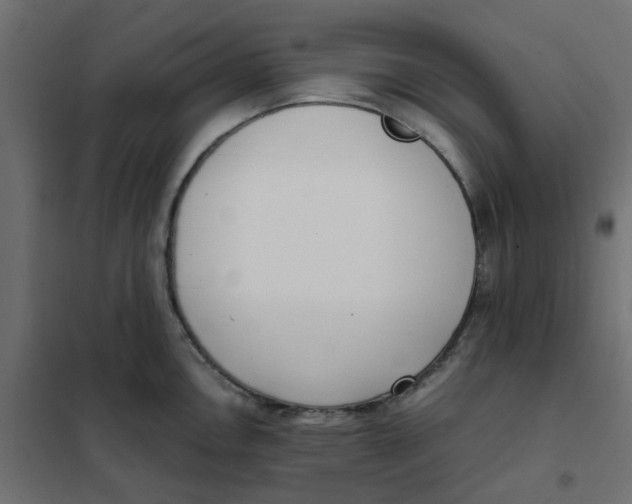 X0000102031146200808081806