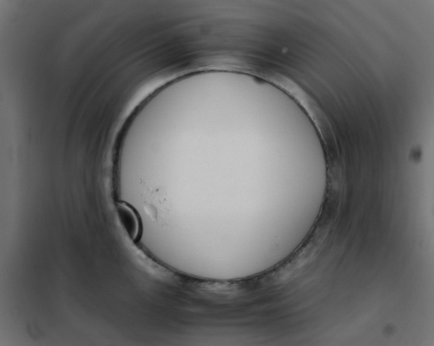 X0000102031147200808081806