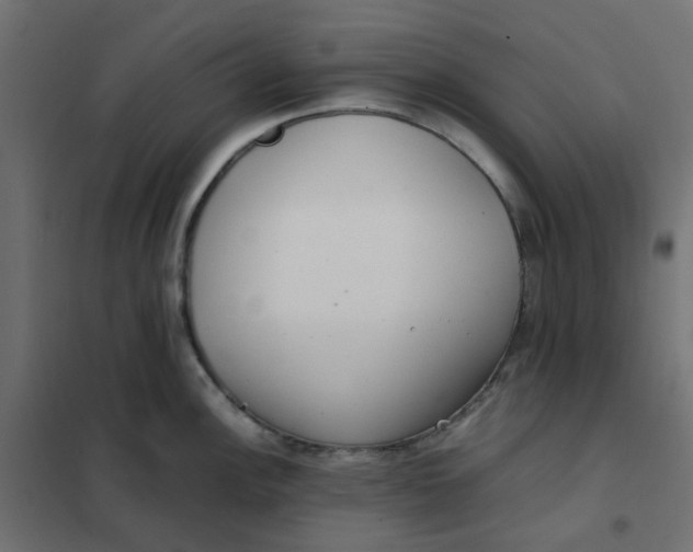 X0000102031148200808081806