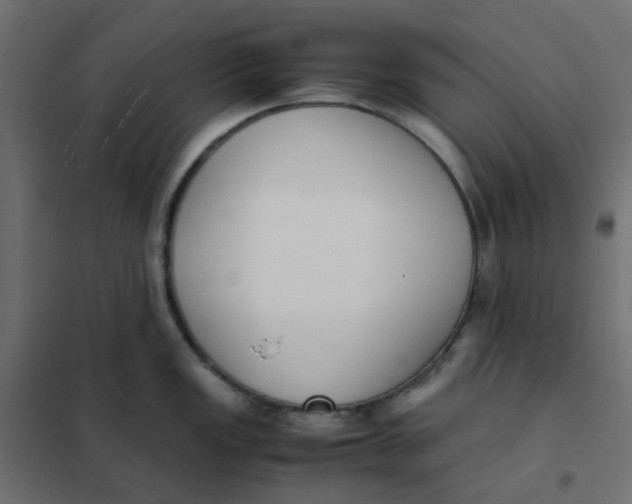 X0000102031149200808081806