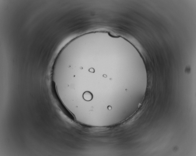 X0000102031151200808081806